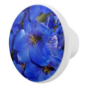 Guardian Blue Delphiniums Larkspur Knopp