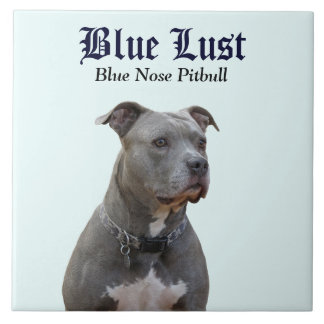 Guardian Blue Lust Pitbull Ceramic Tile Kakelplatta