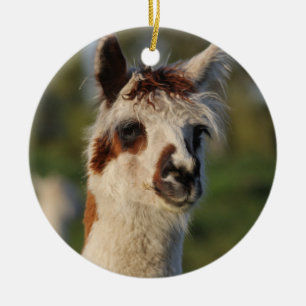 Guardian Llama Julgransprydnad Keramik