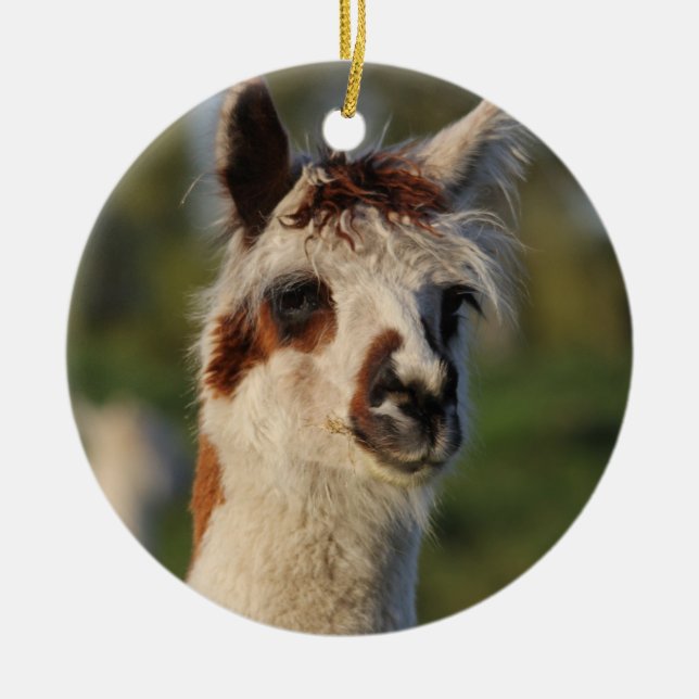 Guardian Llama Julgransprydnad Keramik (Framsidan)