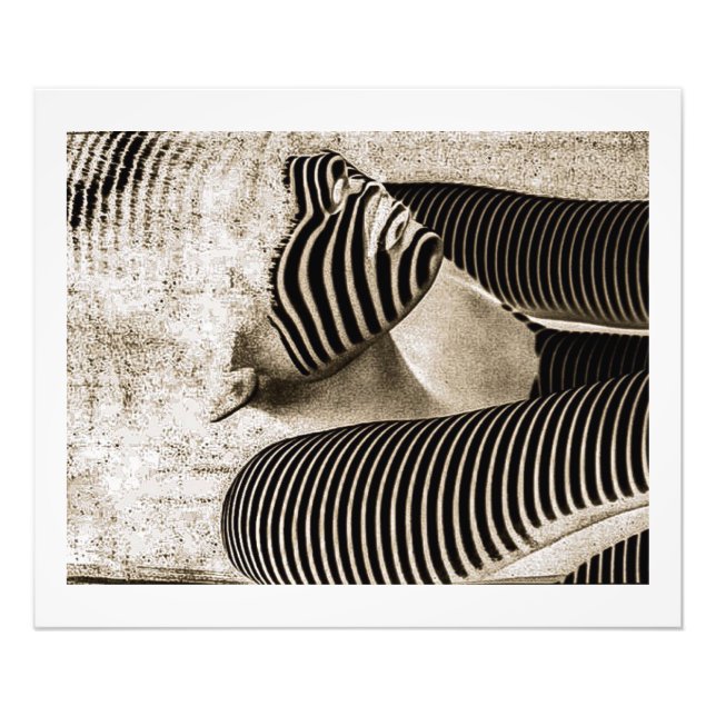 Guardian (Sepia) Fototryck (Framsidan)