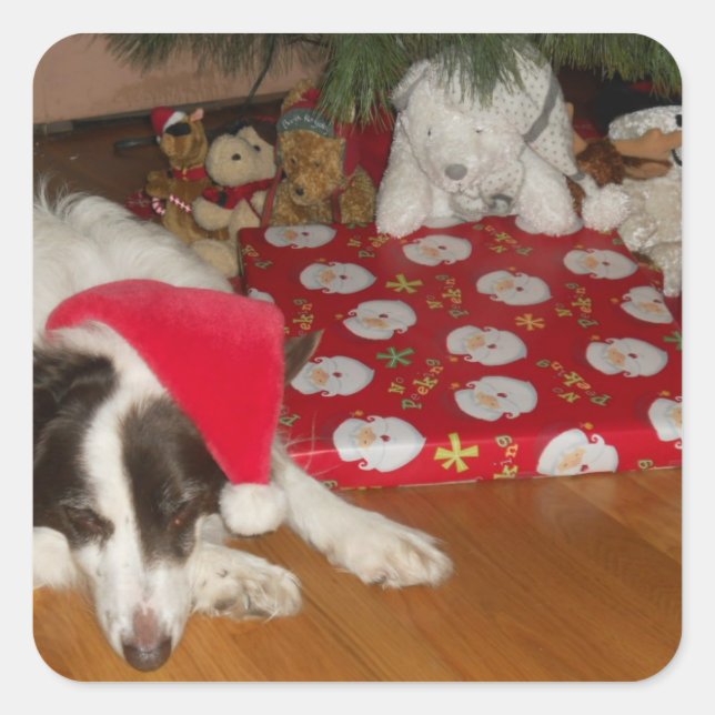 Guarding presenter fyrkantigt klistermärke (Framsida)