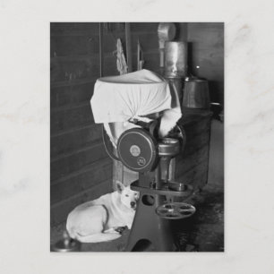 Guarding the Cream Separator, 1936 Vykort