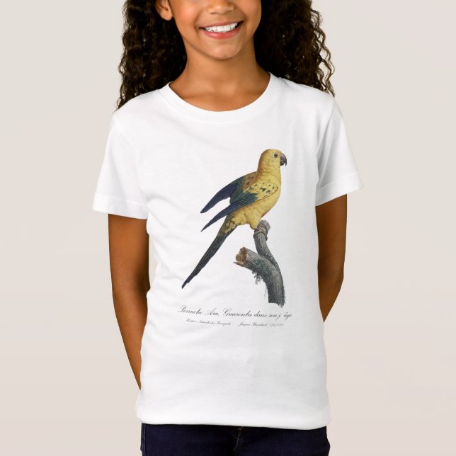 Guarouba dans sons jeune age / Sol parakeet T Shirt (Framsida)