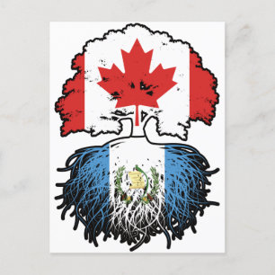 Guatemala Guatemalan Canadian Canada Träd Roots Vykort