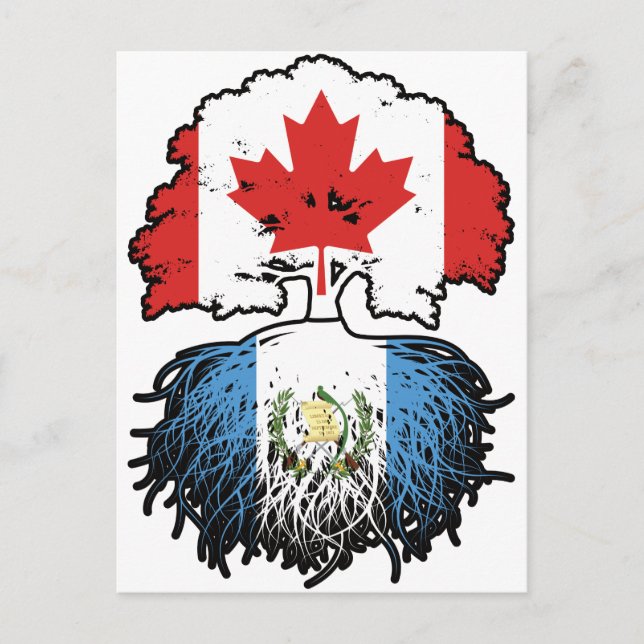 Guatemala Guatemalan Canadian Canada Träd Roots Vykort (Framsida)