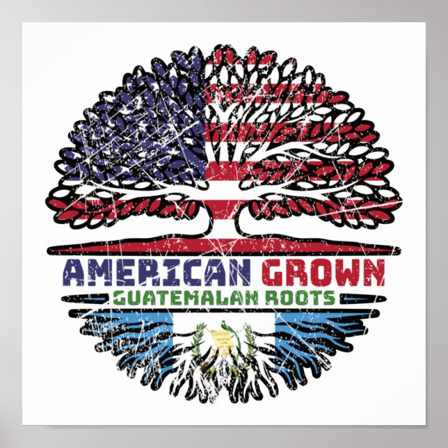 Guatemala Guatemalan USA USA Förenta staterna Före Poster (Framsidan)
