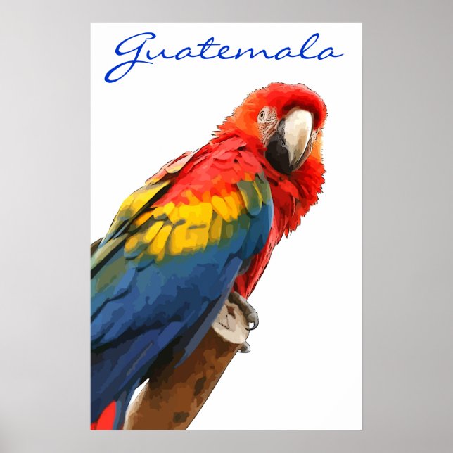 Guatemala Scarlet Macaw Poster (Framsidan)