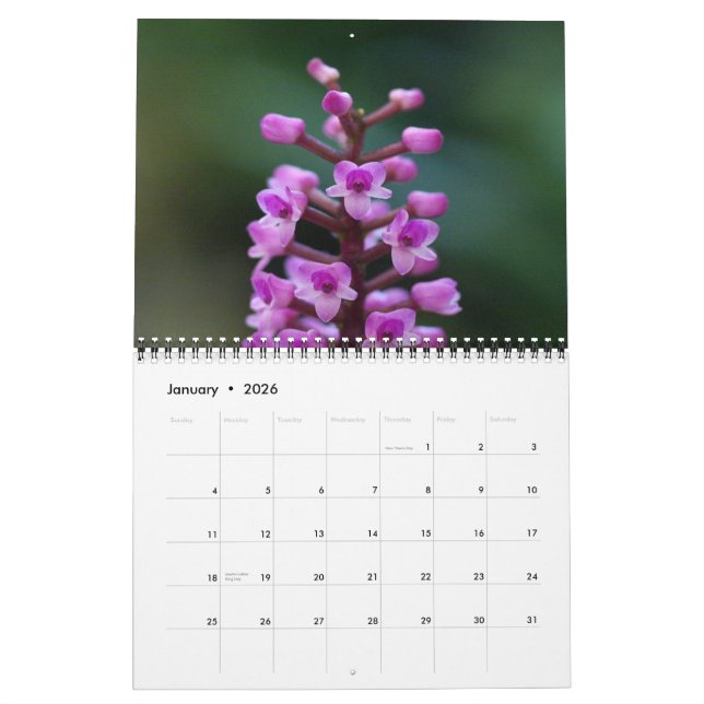 Guatemalansk Orchidskalender Kalender (Jan 2026)