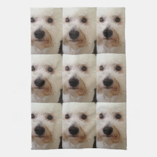 "Gucci" en Bichon Frise - kökshandduk