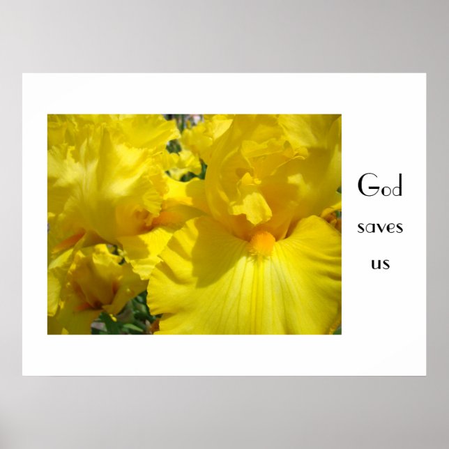 Gud bevare oss konsttryck Blommig natur Gula Irisa Poster (Framsidan)