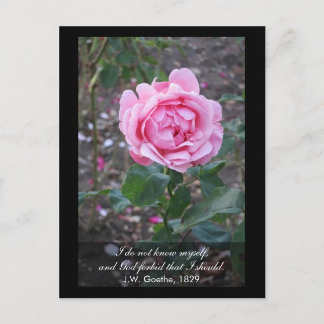 Gud förbjude att jag skulle känna mig själv vykort (Framsida)