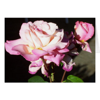 Gud gav oss Ro Hälsningskort