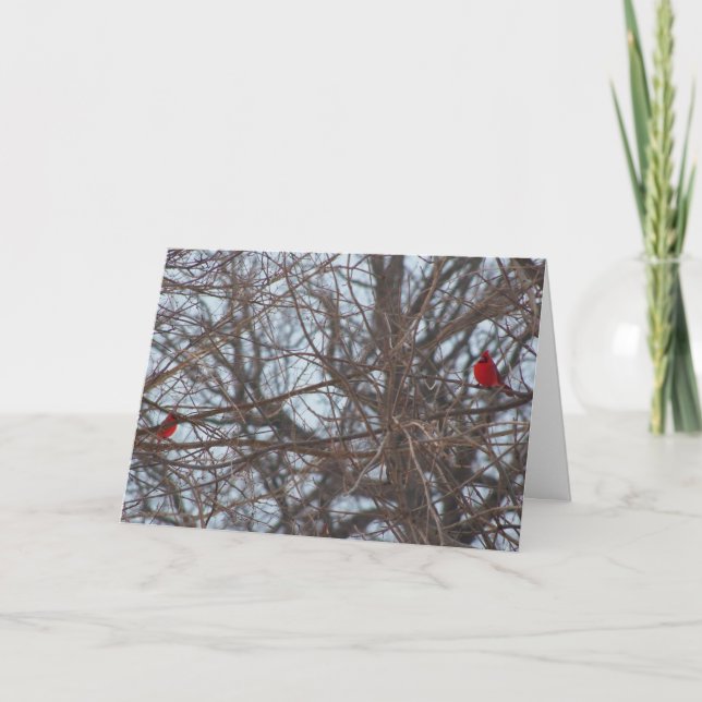 Gud Skapat Beauty, kardinaler Kort (Framsida)