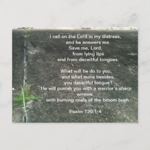 Gud skyddar dig från lögnare vykort