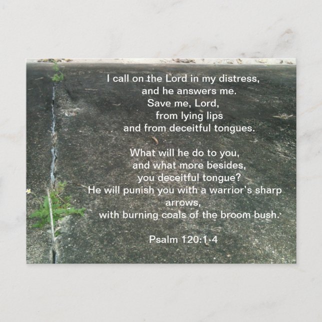 Gud skyddar dig från lögnare vykort (Framsida)