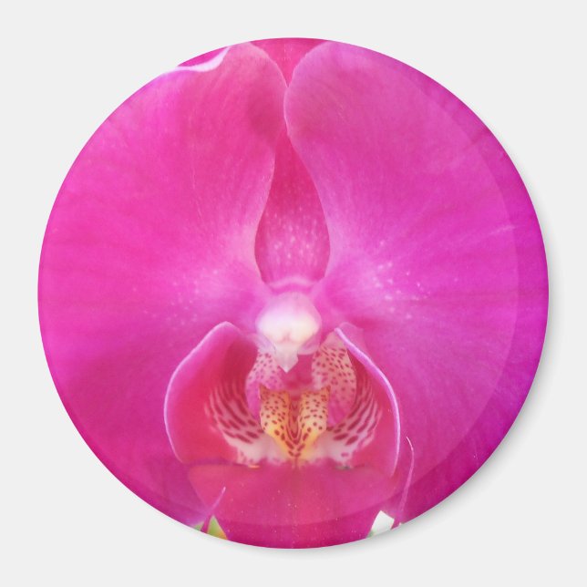 Guda Magnet (Framsidan)