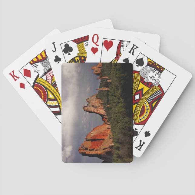 Gudarnas trädgård kortlek (Baksidan)