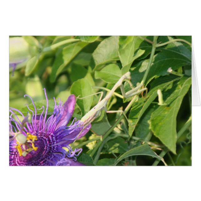 Guden är i specificerar hälsningskort (Framsidan Horizontal)