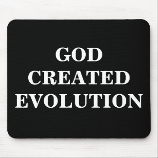GUDEN SKAPADE EVOLUTION MUSMATTA