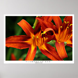 Guds blommor poster