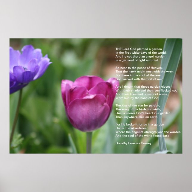 Guds Garden Poster (Framsidan)