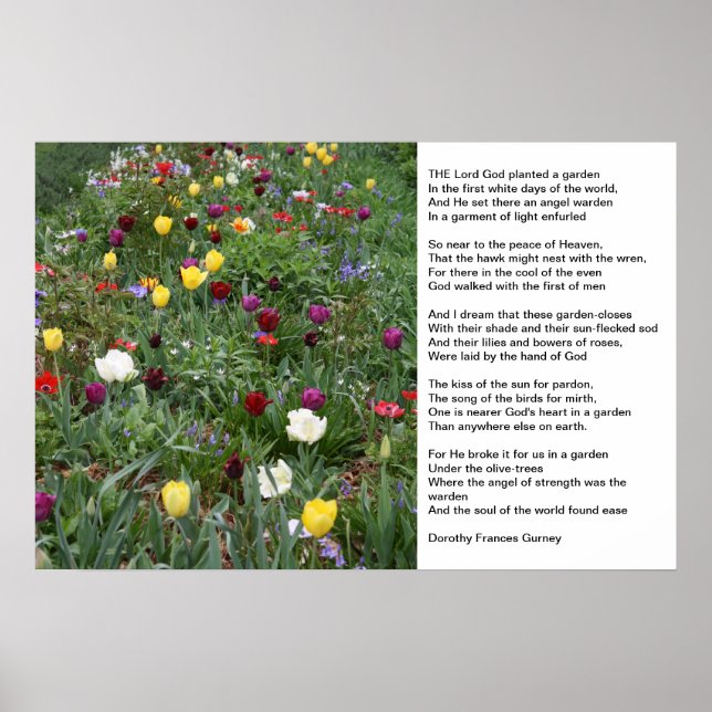 Guds Garden Poster (Framsidan)