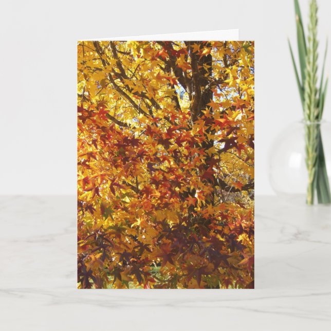 Guds höstgloria kort (Framsida)