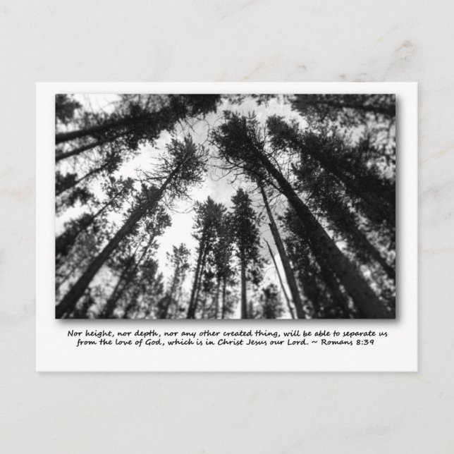 Guds kärlek vykort (Framsida)