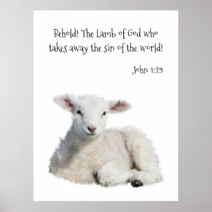 Guds lamm poster