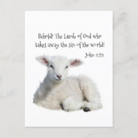 Guds lamm