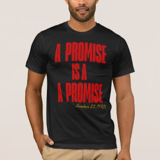 Guds Löften T-Shirt