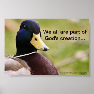 Guds skapelse Anka Poster