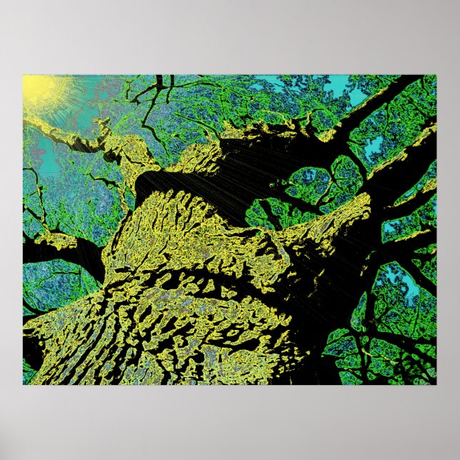 Guds Underbara Mighty Oak Poster (Framsidan)