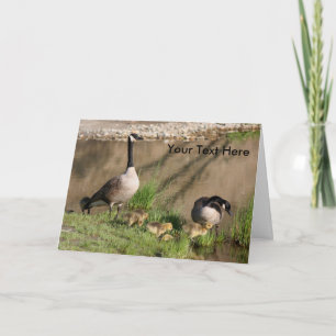 Guéese and Spädbarn Nature Photo Card Kort