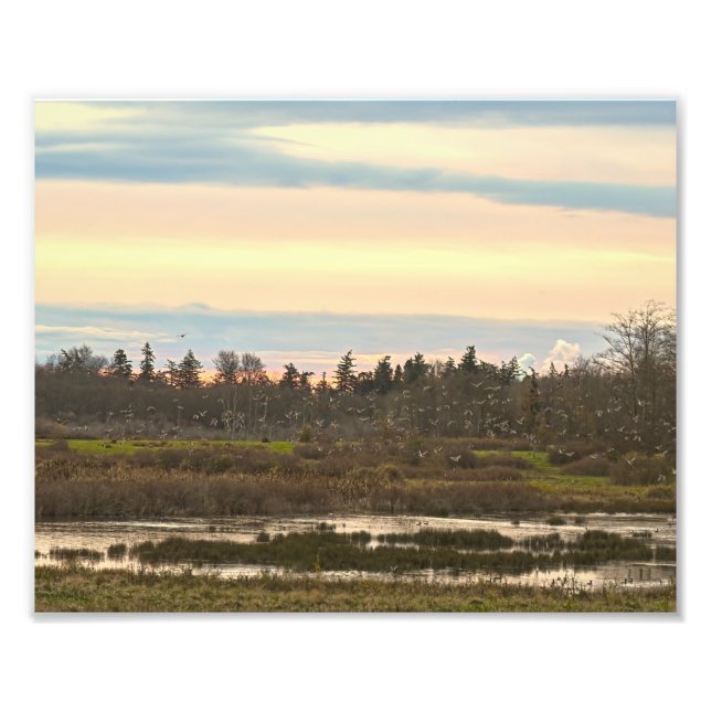 Guemes Island Valley, Guemes Island Fototryck (Framsidan)