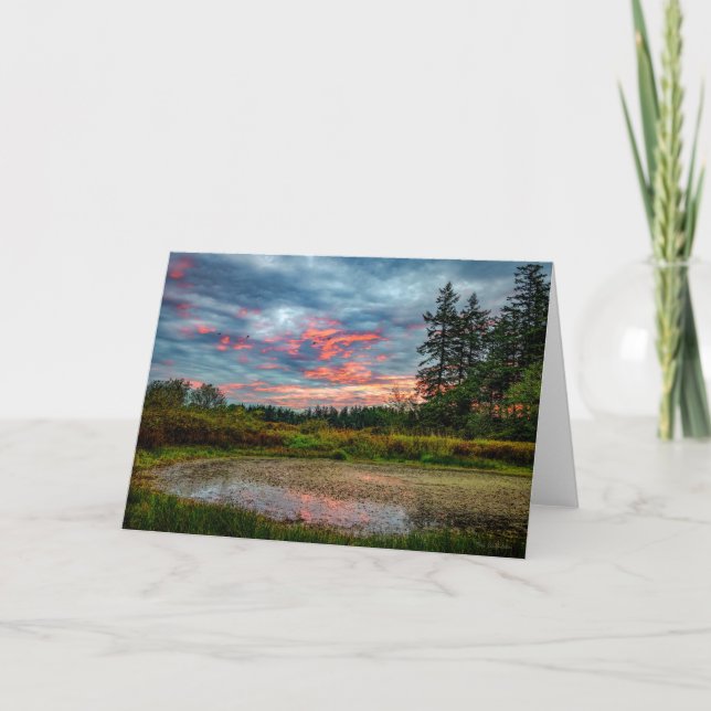 Guemes Pond Sunrise Guemes Island - tackkort (Framsida)