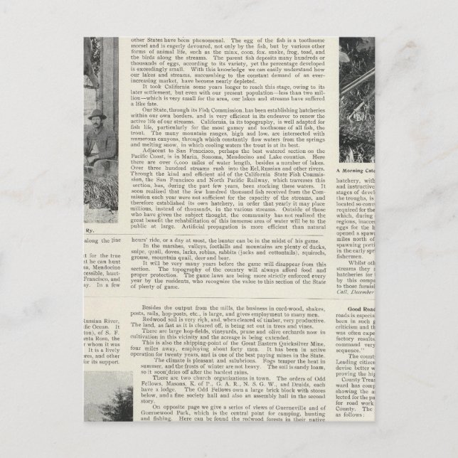 Guerneville, Kalifornien Vykort (Framsida)