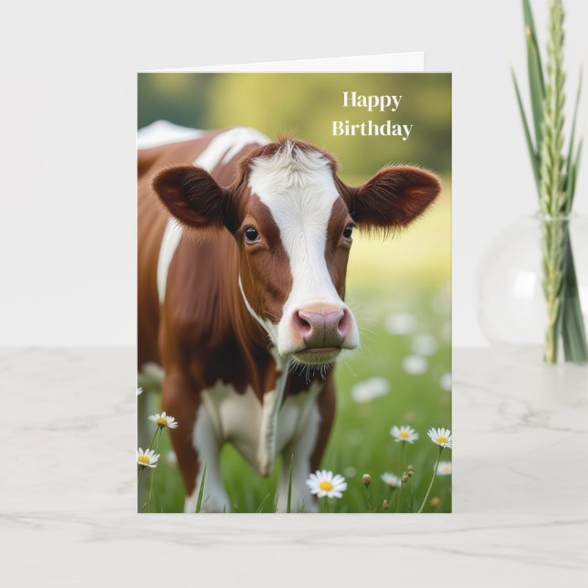 Guernsey Cow Birthday Humor Kort (Framsida)