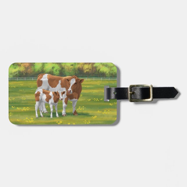 Guernsey Cow & Cute Calf på sommarbetesmark Bagagebricka (Horisontell Framsida)