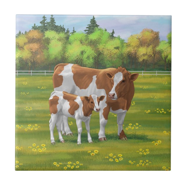 Guernsey Cow & Cute Calf på sommarbetesmark Kakelplatta (Framsidan)