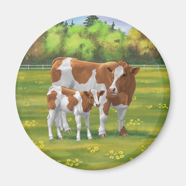 Guernsey Cow & Cute Calf på sommarbetesmark Magnet (Framsidan)