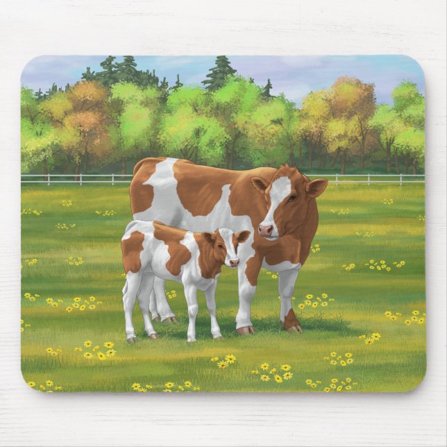 Guernsey Cow & Cute Calf på sommarbetesmark Musmatta (Framsidan)