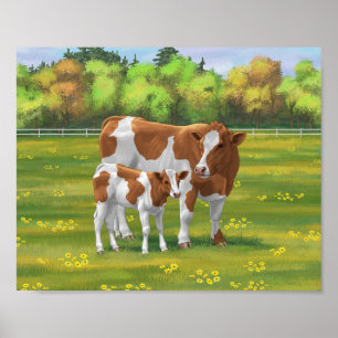 Guernsey Cow & Cute Calf på sommarbetesmark Poster
