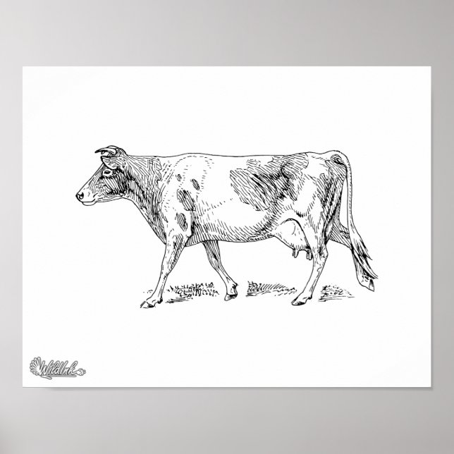 Guernsey Cow Poster (Framsidan)