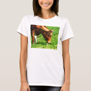 Guernsey-kokosnöt T Shirt