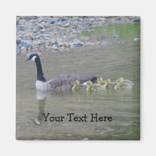 Guese Mamma Spädbarn Nature Photo Magnet