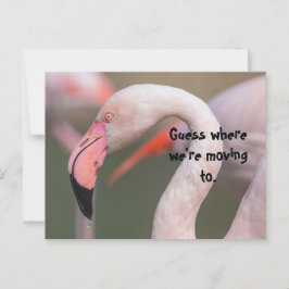 GUESS WHERE RELOCATION CARD VYKORT