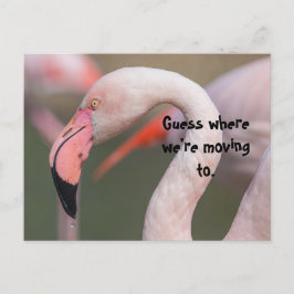 GUESS WHERE RELOCATION CARD VYKORT