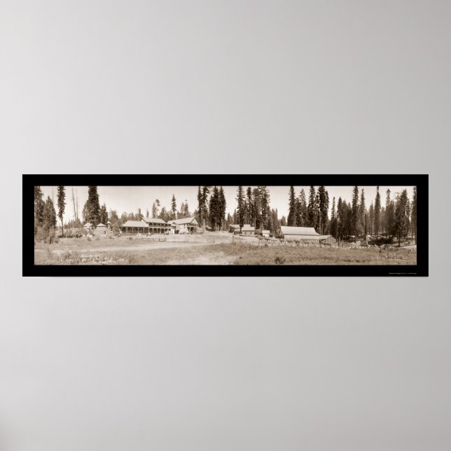 Guest Ranch Horse Roligt Photo 1911 Poster (Framsidan)